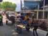 Dapat Kompensasi Rp1,4 juta, Penarik Becak di Cirebon Siap Patuhi Arahan Gubernur Jabar